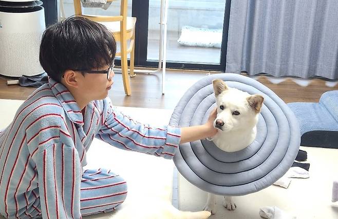 보호소에 입양 문의 시 '사나우니 다시 생각해 보라'던 강아지 '솔유'가 집에 와서 사람의 손길을 받아들이고 있다(인스타그램 daybreak1997 제공) ⓒ 뉴스1