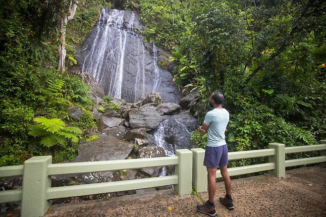 푸에르토리코 엘 윤케 국유림