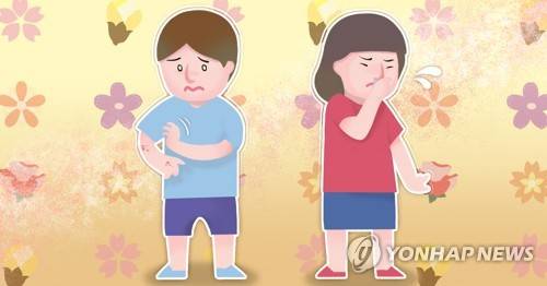 꽃가루 알레르기 (PG) [연합뉴스 자료]