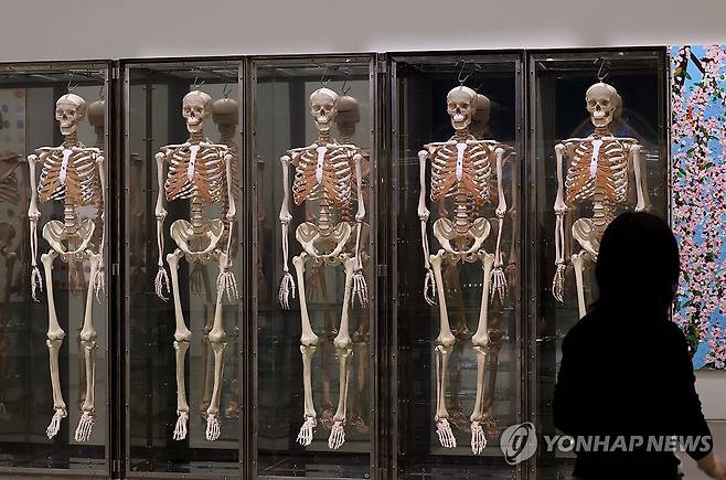 데이미언 허스트 개인전 개최 (서울=연합뉴스) 이재희 기자 = 18일 서울 종로구 국립현대미술관에서 열린 영국 작가 데이미언 허스트의 개인전 '진실은 없어 그러나 모든 것은 가능하지'에 '그래, 그런데 네 진짜 기분은 어때?' 작품이 전시돼 있다. 이 전시는 오는 20일부터 6월 28일까지 열린다. 2026.3.18 scape@yna.co.kr