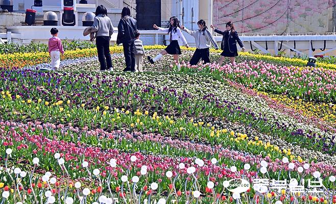 완연한 봄 날씨를 보인 22일 오전 용인시 에버랜드에서 시민들이 알록달록한 튤립을 구경하며 즐거운 시간을 보내고 있다. 에버랜드 튤립축제는 100여 종, 약 120만 송이의 봄꽃들이 상춘객을 반기며 내달 30일까지 이어진다. 김경민기자