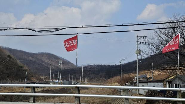 매년 전국 송이 생산량 1위를 기록하고 있는 영덕군의 최대 생산지 지품면 삼화리 뒷산 국사봉 일대 산림이 산불로 초토화된 모습에 산불조심 깃발이 공허하다. 김영호 기자.