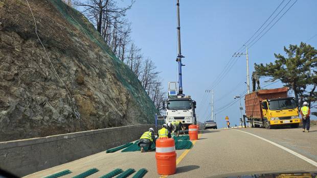 영덕군 해안의 영덕대게로 영덕읍 대탄리 고갯길에 산불 1년이 지난 현재까지도 산불 피해목 제거와 함께 낙석 방지망 설치가 한창 진행되고 있다. 김영호 기자.