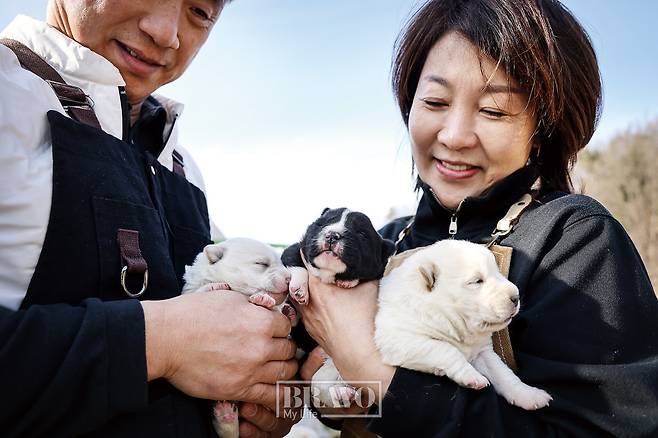 (주민욱 프리랜서)