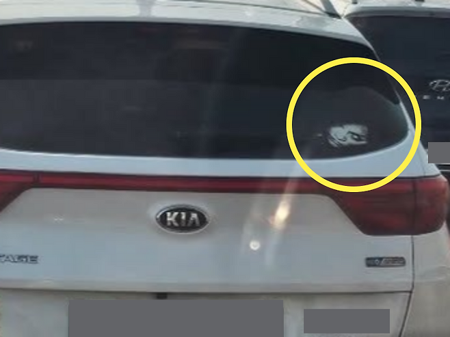 /사진=보배드림 인스타그램