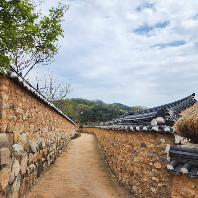 한개마을 돌담길의 모습