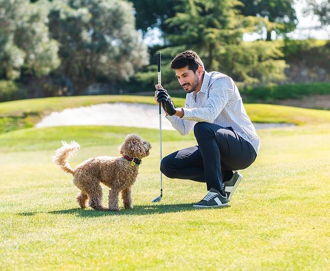 반려견 동반 골프 라운딩이 가능한 패키지 상품  [호텔롯데 제공]