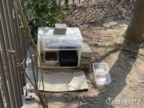 ◇23일 춘천시 요선동 인근 아파트 단지에 마련된 길고양이 보금자리. 사진=손지찬 기자