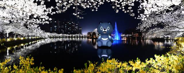 김천 사진촬영명소인 연화지 야경