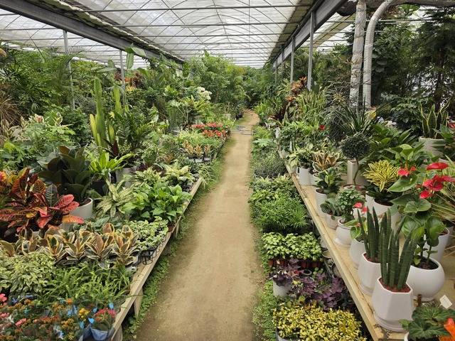 중동 전쟁 장기화 우려로 인해 농업용 난방유인 면세 실내등유의 가격 상승이 이어지면서 시설하우스 농가 부담이 커지고 있는 가운데 23일 오전 대구 동구 불로동 화훼단지 내 한 꽃 집 모습이다. 권영진 기자