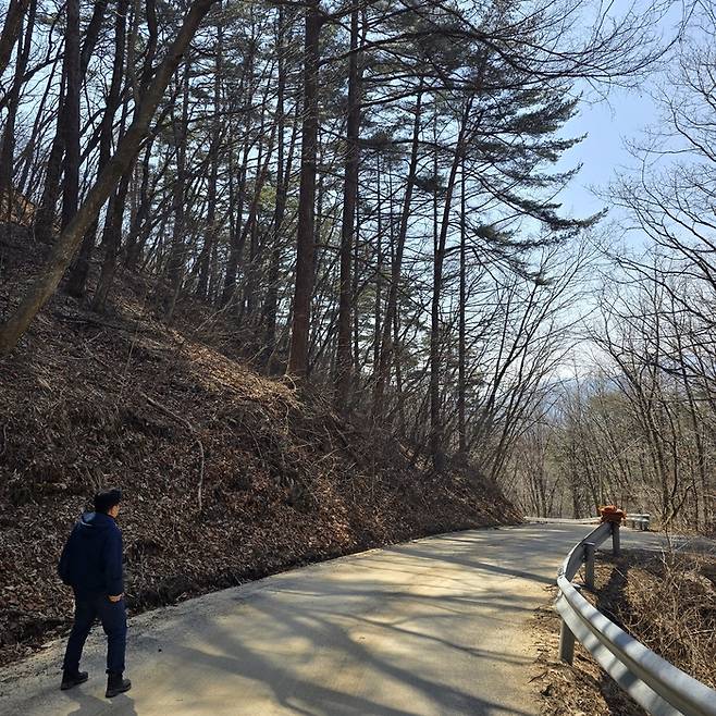 주민들이 100여년 전까지 오갔다는 고치령 옛길은 낙엽과 잡목에 가려 뚜렷한 흔적을 찾을 수 없었다. 사진은 현재 고치령길. <권기웅 기자>