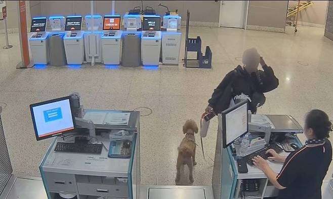 출처-인스타그램 @lvmpd 갈무리