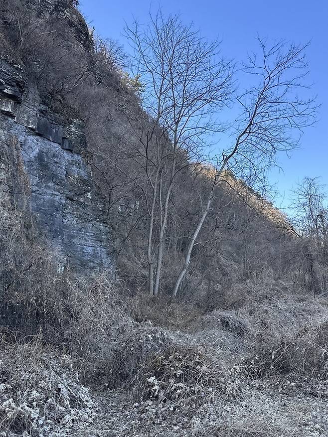 1950년 7월 초순부터 9월 사이 경북 영천시 임고면 골짜기 등에서 600여명이 군경에 의해 희생된 영천지역 국민보도연맹 학살 현장. 그린버그씨가 이번달 찍은 사진이다.