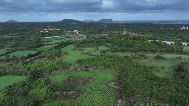 제주 서귀포시 성산읍 제주 제2공항 사업 부지