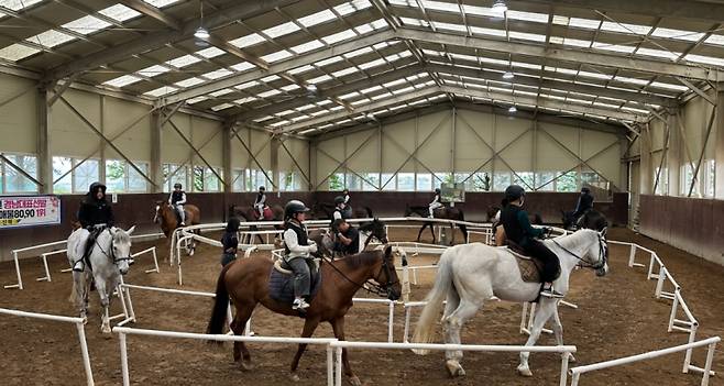 김해시 학생승마체험교육이 이뤄지고 있다. 김해시 제공