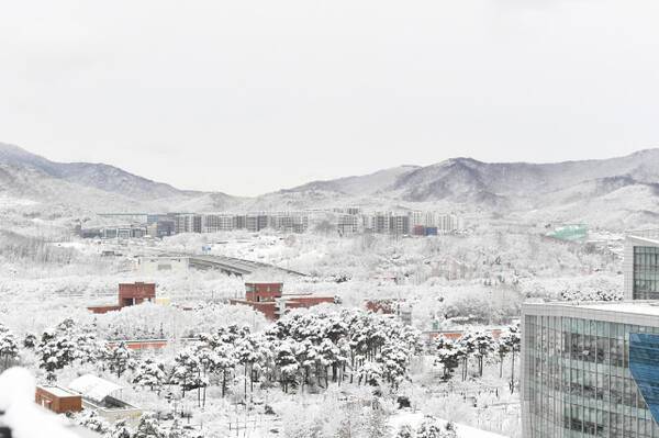 정부 1·29 ‘도심 주택공급 확대 및 신속화방안’에 포함된 성남시청 주변. 성남시 제공