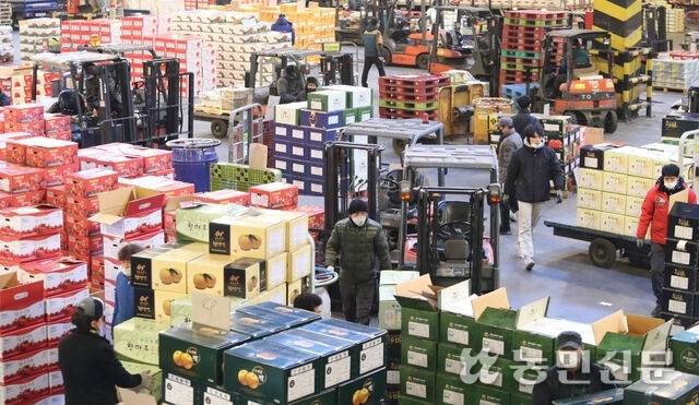 사진은 기사의 특정 사실과 관련 없음. 농민신문DB