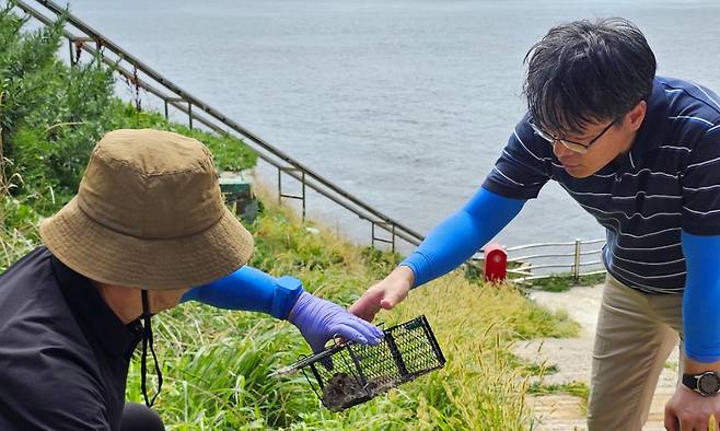 독도에서 집쥐를 포획하는 모습. 대구지방환경청 제공
