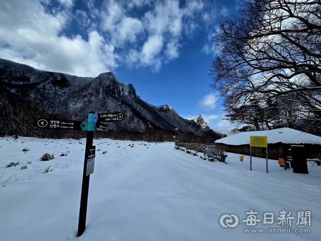울릉도 설경. 나리분지 신령수 가는길.조준호 기자