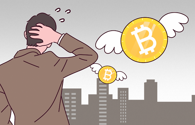 그래픽=박혜수 기자