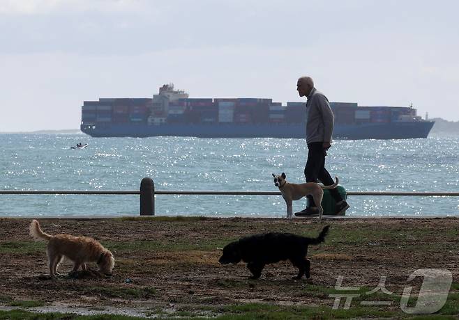컨테이너선이 2025년 케이프타운 항구에 도착하고 있다. 2025.8.6 ⓒ 로이터=뉴스1