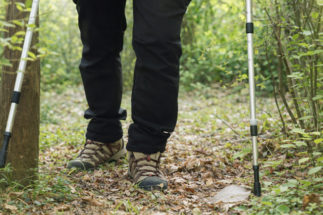 고려대학교 안암병원 제공