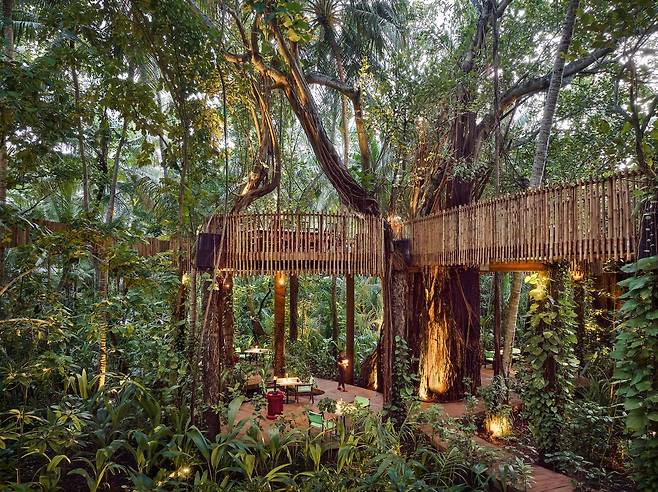 열대우림에서 식사를 즐길 수 있는 ‘네스트’.