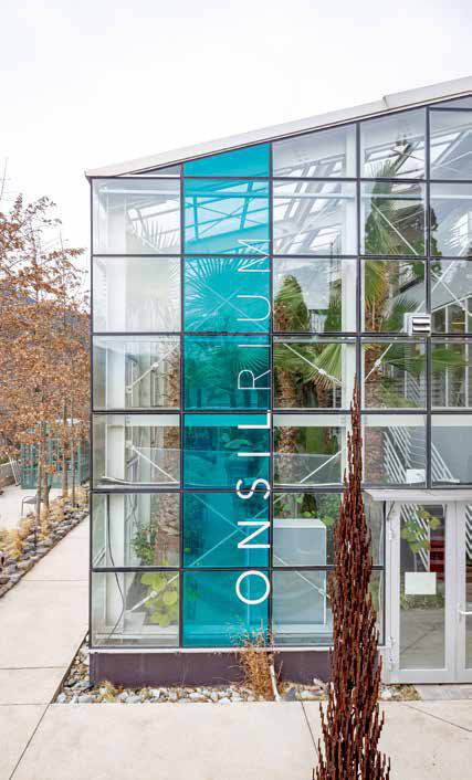 밖에서 바라본 온실. 투명한 유리 너머로 워싱턴야자 등 식물들이 보인다.