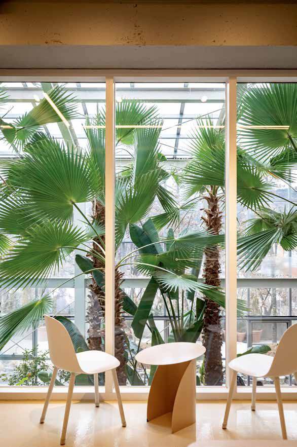 카페는 온실보다 높은 위치에 있어서 온실을 내려다보며 차를 마실 수 있다.