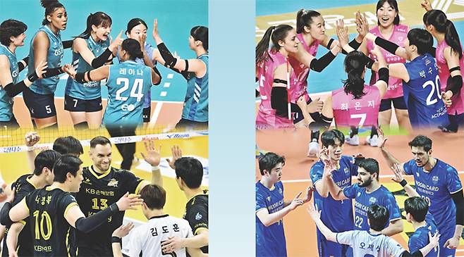 GS칼텍스·흥국생명·우리카드·KB손해보험 선수단(왼쪽 위부터 시계방향으로). KOVO 제공