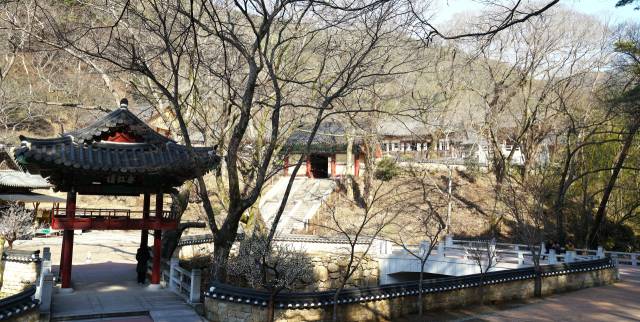 지리산 둘레길 제19구간에서 빼놓을 수 없는 ‘천은사’. 지리산 깊은 골 산중 고찰이지만, 막힌 공간의 갑갑함이나 엄숙함이 아닌 평지 가람에서 느낄 수 있는 편안함과 경쾌함을 느낄 수 있다. 여러 산내 암자를 거느리고 있으며, 감로의 불국을 이루고 빼어난 형승을 가진 감로동천이다./사진작가 각로 박혜란/