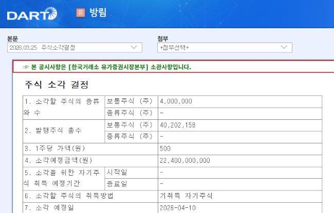 /사진=금융감독원 전자공시시스템 갈무리