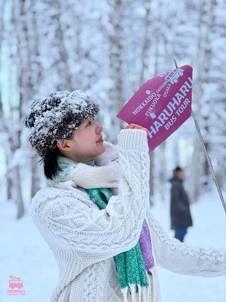 /사진=하루하루투어