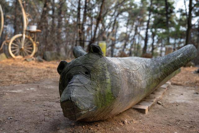 엠마누엘라 카마치 작가의 '시너지-곰이 물이 되어'.