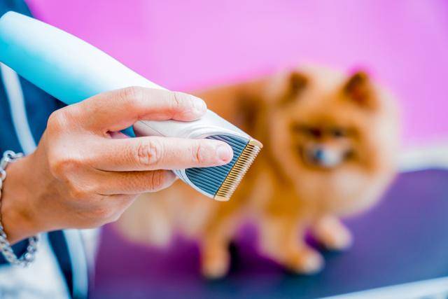 게티이미지뱅크