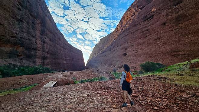 카타추타 왈파 고지 트레킹 장면. 계곡 너머까지 길이 이어지지만, 중간쯤에서 막아놨다. 계곡 사이로 바람이 불어온다. 카타추타에 사는 위대한 뱀 와남비가 뱉는 날숨이다. 손민호 기자