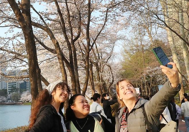 지난해 4월 서울 송파구 석촌호수를 찾은 관광객이 벚꽃을 배경으로 기념촬영을 하고 있다. 송파구 제공