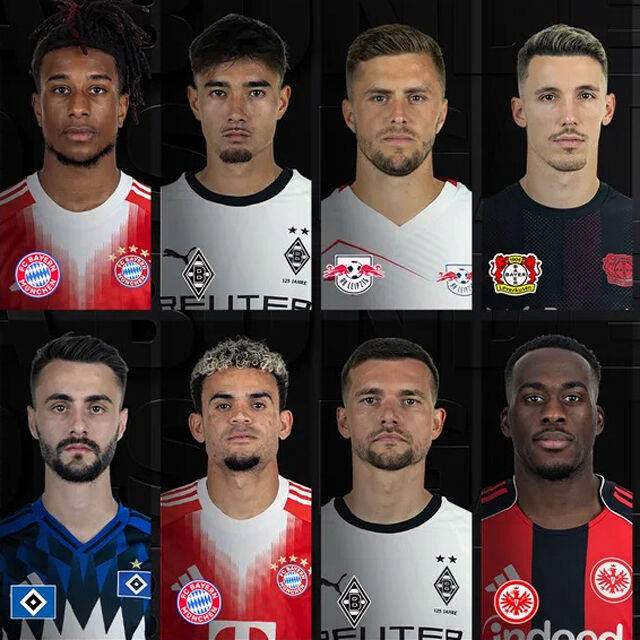 분데스리가 이달의 골 후보/분데스리가