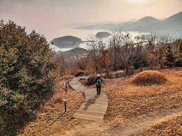 망마산 정상에서 예울마루로 하산하는 길, 멀리 장도가 보인다.