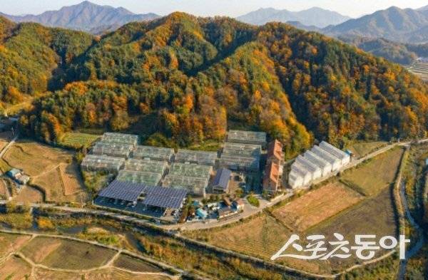 경북 영양군이 전국 최초로 조성하는‘임산물 스마트팜 실증단지’ 조감도. 사진제공 ㅣ 경북도