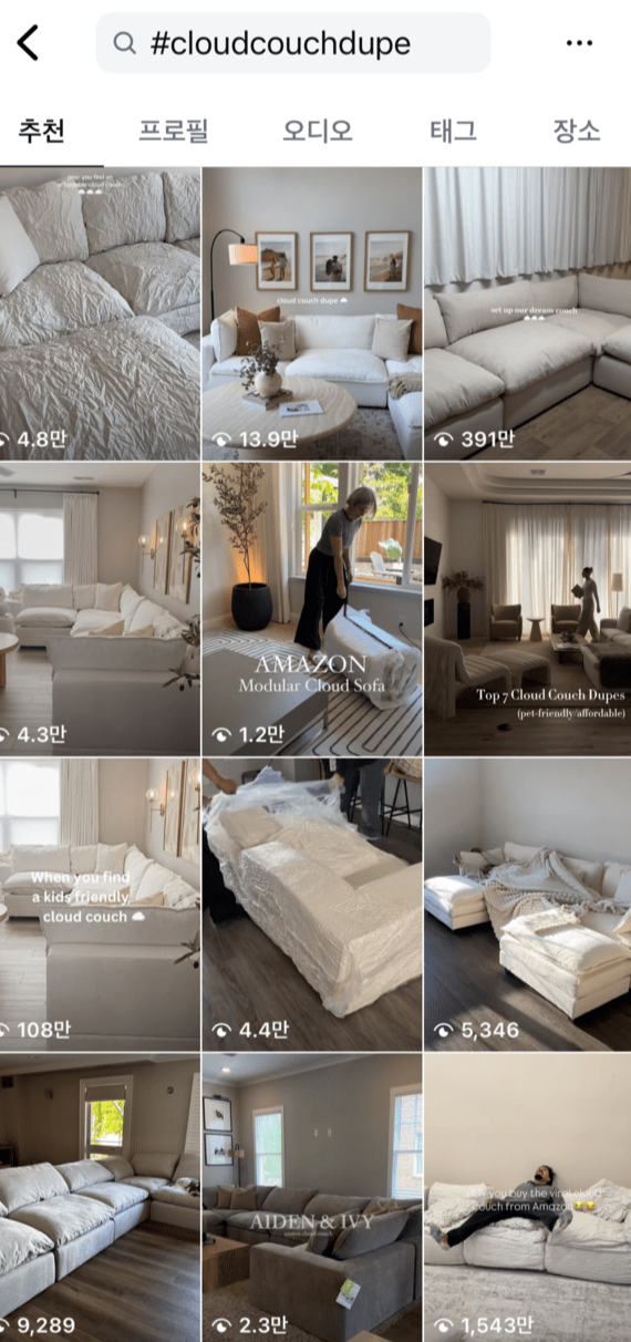 Instagram #couldcouchdupe 검색