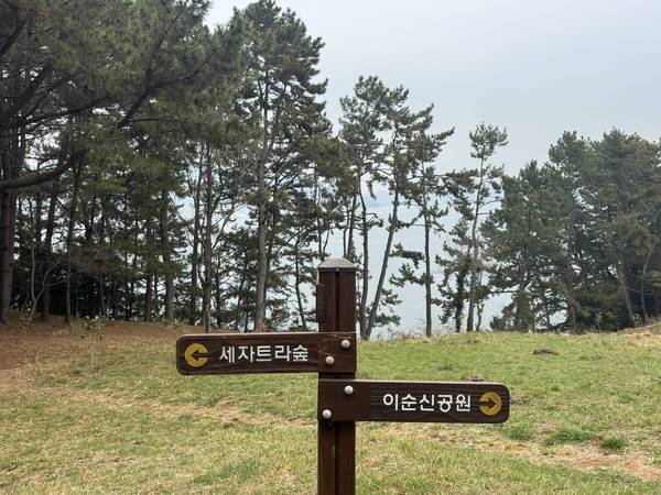 통영RCE세자트라숲에서 이순신공원 가는 길. /이서후 기자