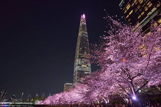 롯데물산이 오는 27일부터 다음달 12일까지 '2026 스프링 인 잠실'을 진행한다./사진='2025 스프링 인 잠실' 모습, 롯데물산 제공