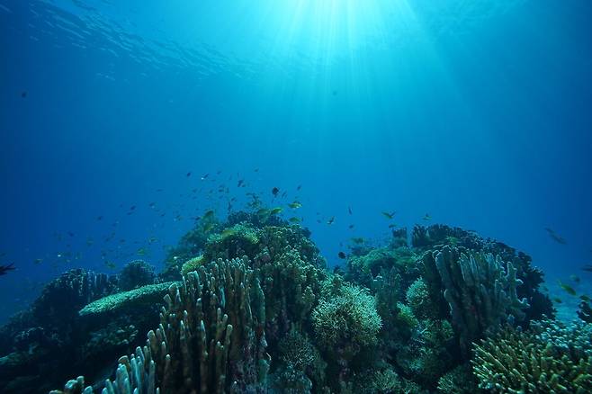 해저 미생물과 생물들은 메탄을 소비하는 과정을 통해 대기로 방출될 수 있는 온실가스를 줄이는 역할을 한다. (사진 클립아트코리아)/뉴스펭귄