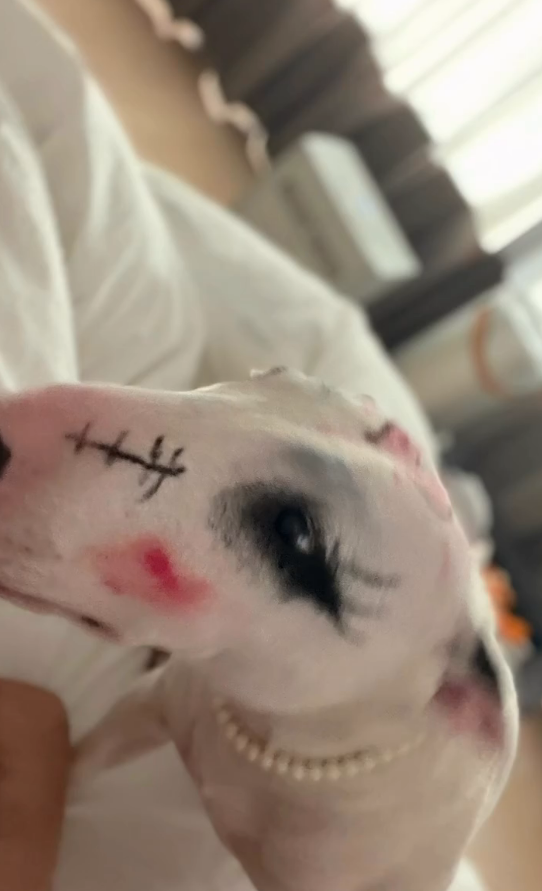 사진=이혜영 SNS