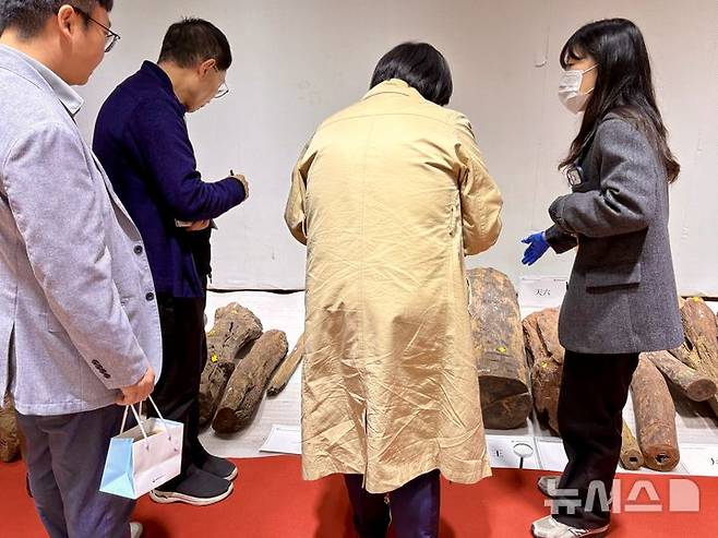 [목포=뉴시스] 한이재 기자 = 25일 신주혜 학예연구사가 신안선 출수 자단목 사전공개 참가자들에게 설명하고 있다. 2026.03.25. nowone@newsis.com