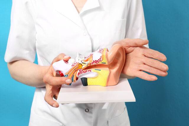 클립아트코리아