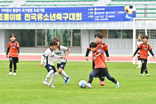 ◇2026 제4회 정선황조롱이배 전국유소년축구대회가 오는 28일부터 29일까지 정선종합경기장과 고한생활체육공원에서 개최된다. 사진은 지난해 대회 모습.