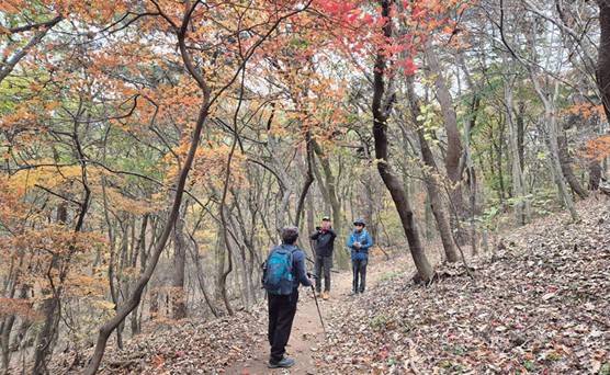 서운산 산행의 멋 단풍 촬영