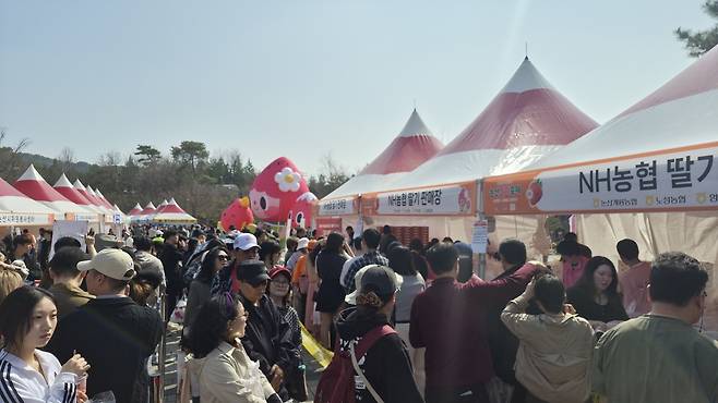 2026 논산딸기축제장을 찾은 관람객들이 논산 딸기를 구입하려고 줄을 서서 기다리고 있다. 정종만 기자